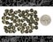 10mm Dark Metallic Olive Green Heart Leaf Beads - One Strand with Apx 50 beads - GB-LB1